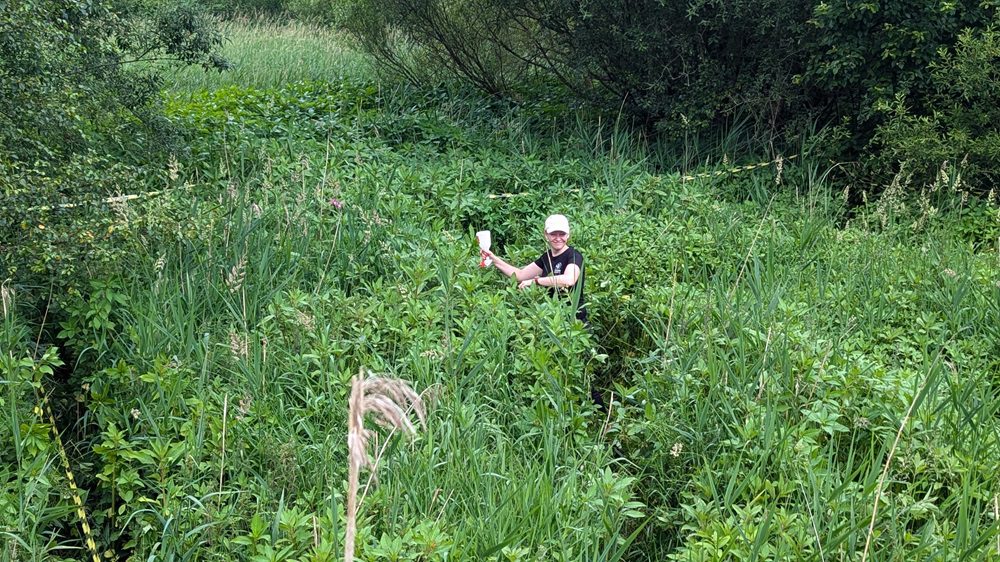240627 Rust Fungus Site at High Royd 2, SG, 5+ Years