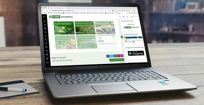 CABI-Academy-700x360-1