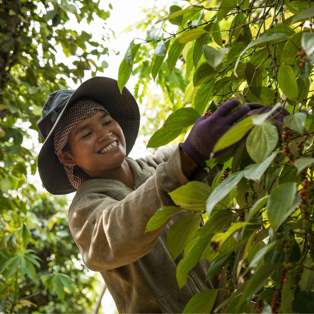 A woman coffee farmer