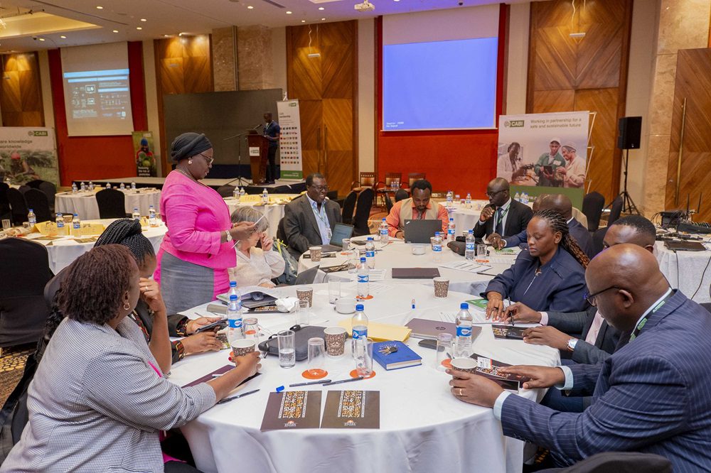 Group Discussion_East Africa