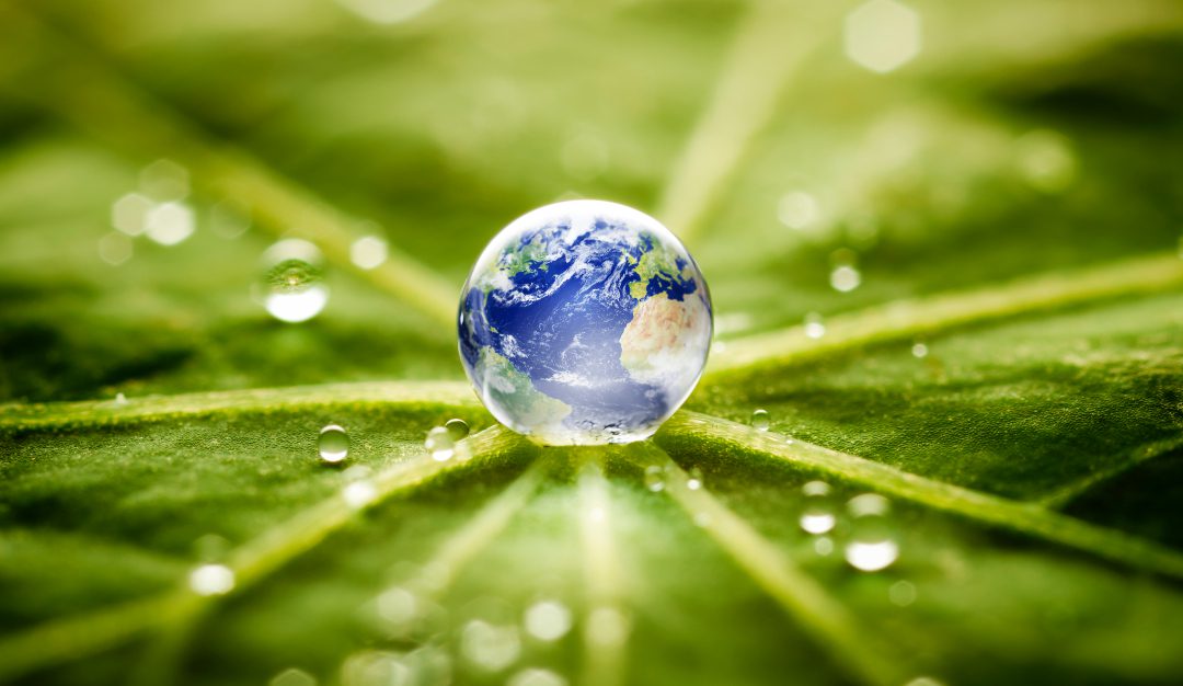 Macro 3X of the world globe in a drop on green leaf.