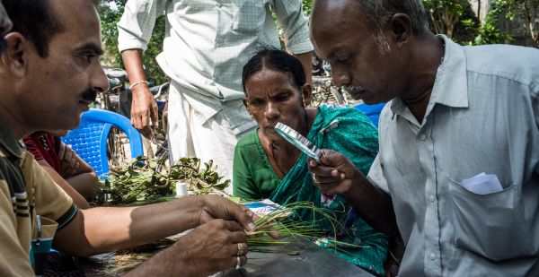 plant doctors at a plant clinic in India
