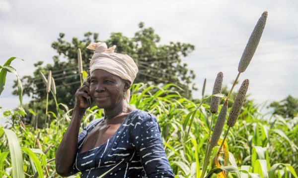 Plantwise and COVID-19