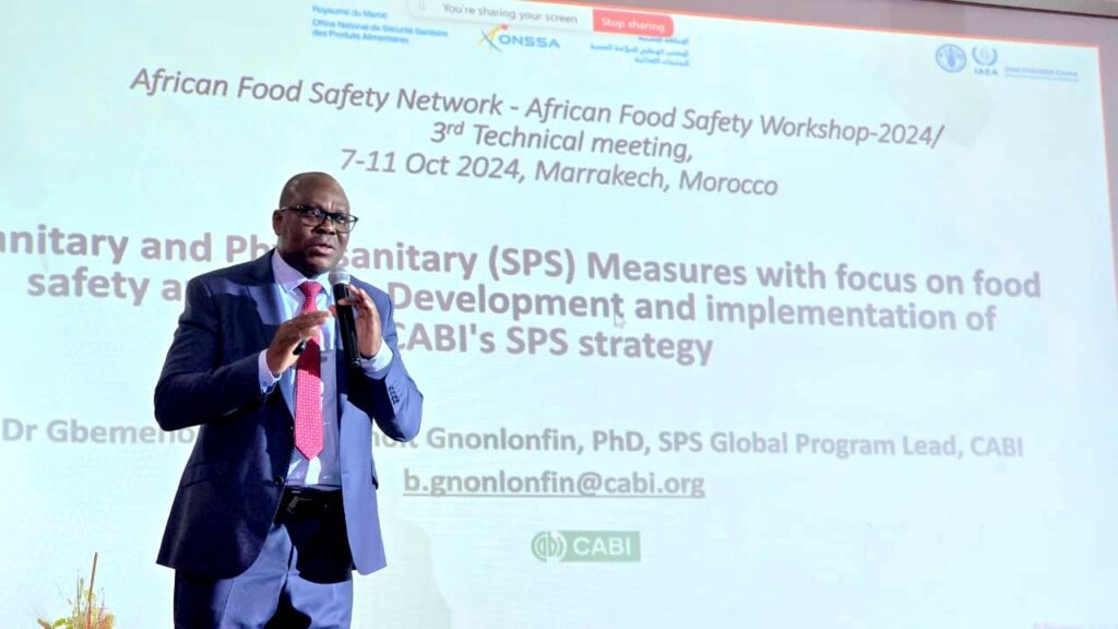 WhatsApp Image 2024-10-09 at 8.16.20 PM