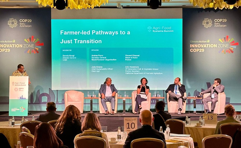 WhatsApp Image 2024-11-15 at 10.53.29 AM